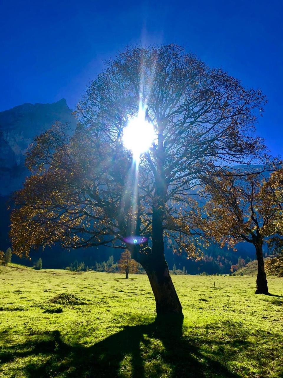 Hotel Menthof Seefeld in Tirol Buitenkant foto
