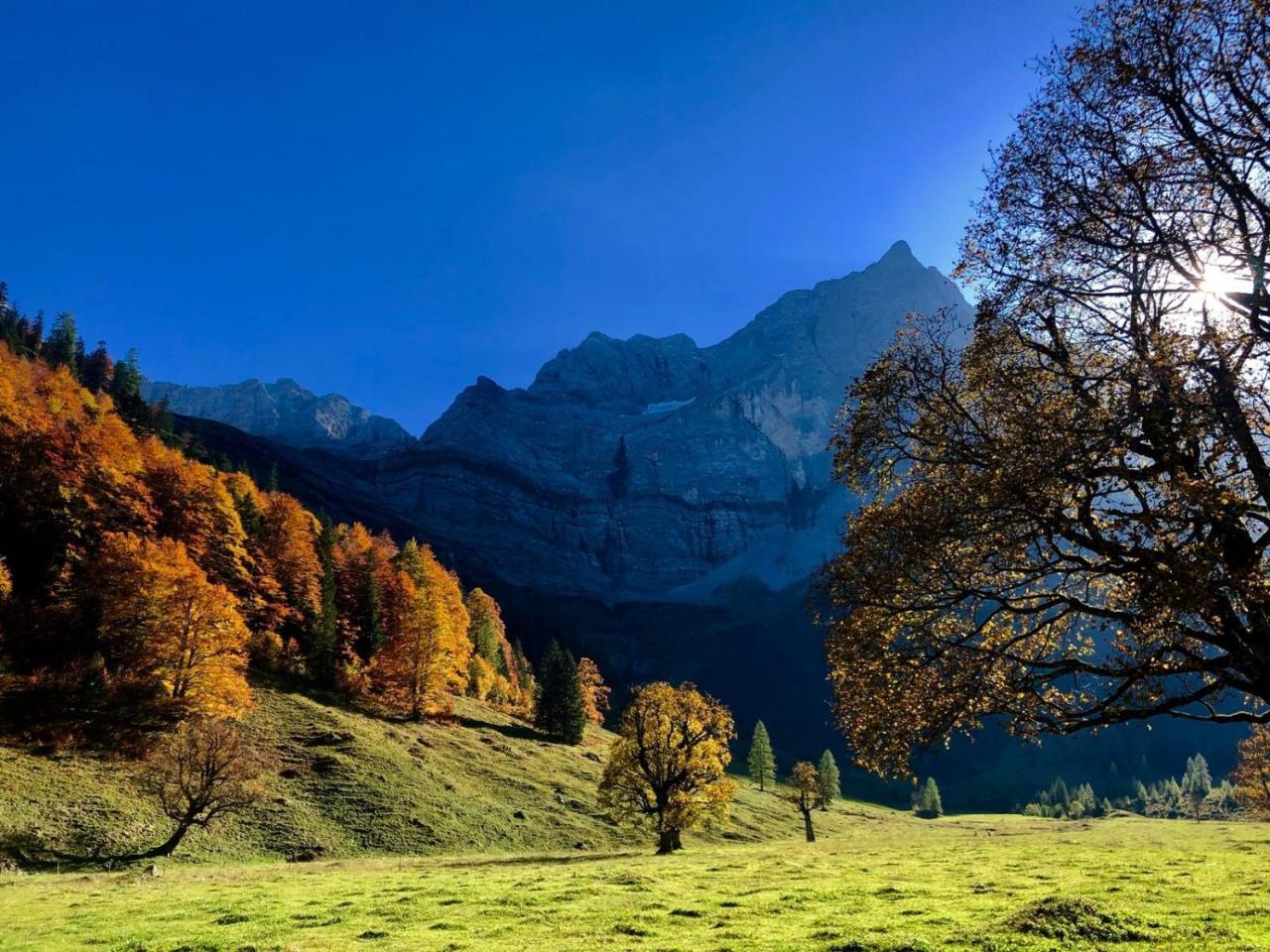 Hotel Menthof Seefeld in Tirol Buitenkant foto