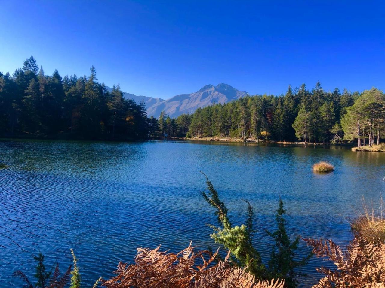 Hotel Menthof Seefeld in Tirol Buitenkant foto