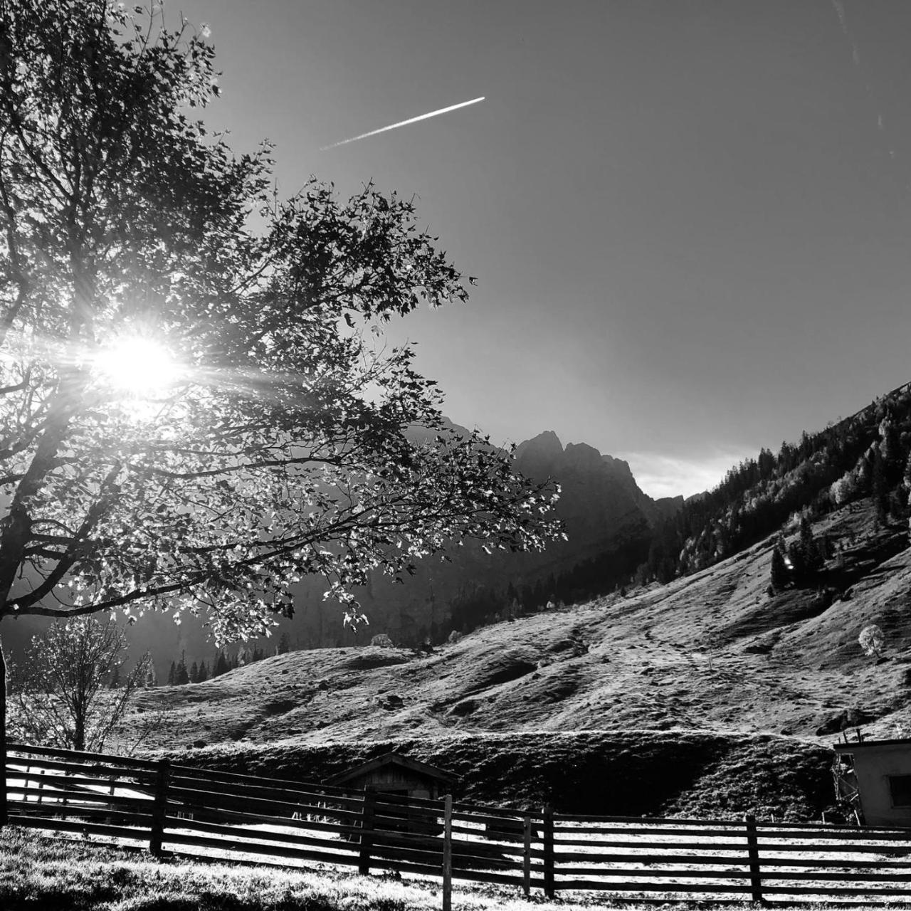 Hotel Menthof Seefeld in Tirol Buitenkant foto