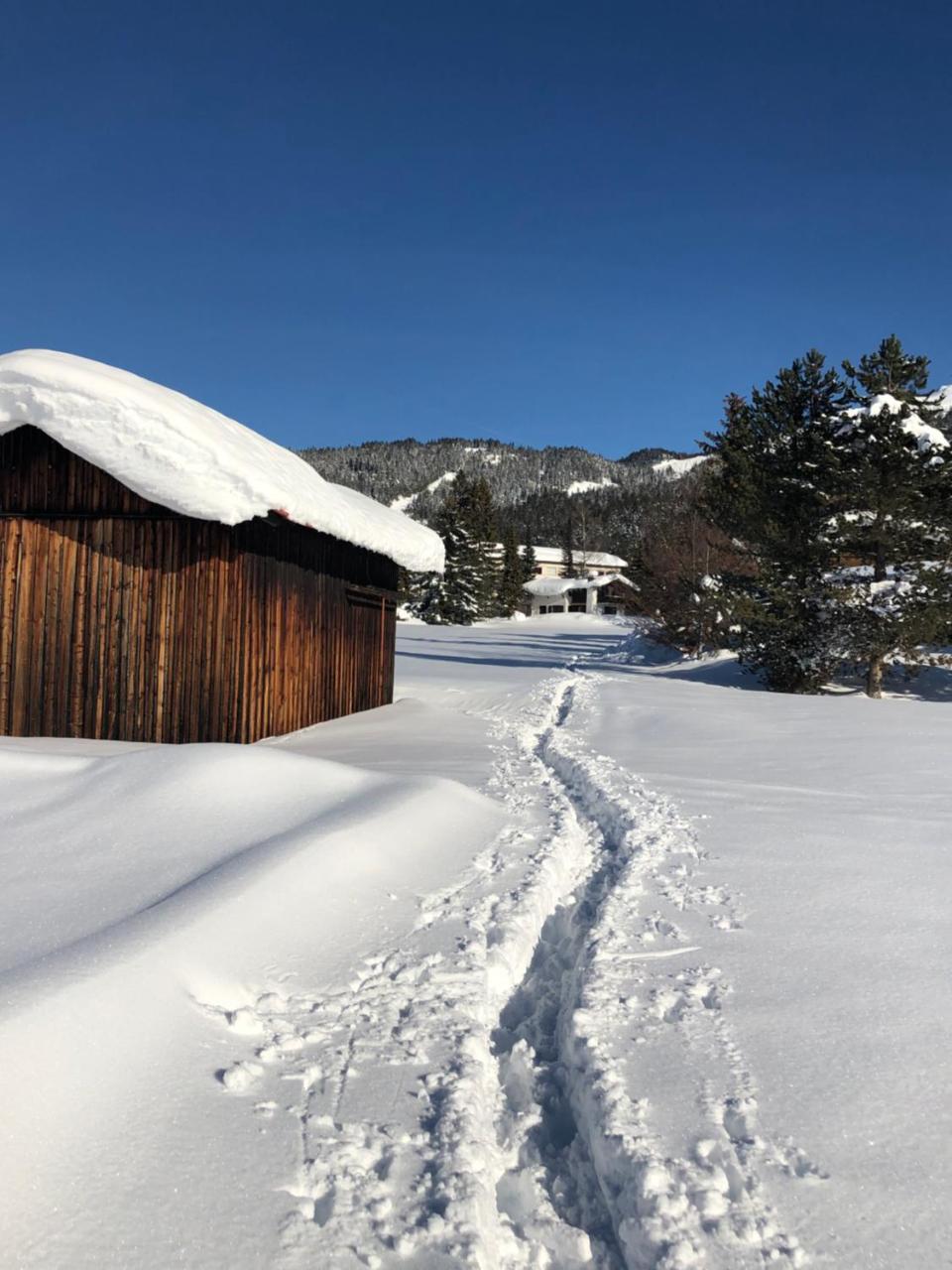 Hotel Menthof Seefeld in Tirol Buitenkant foto