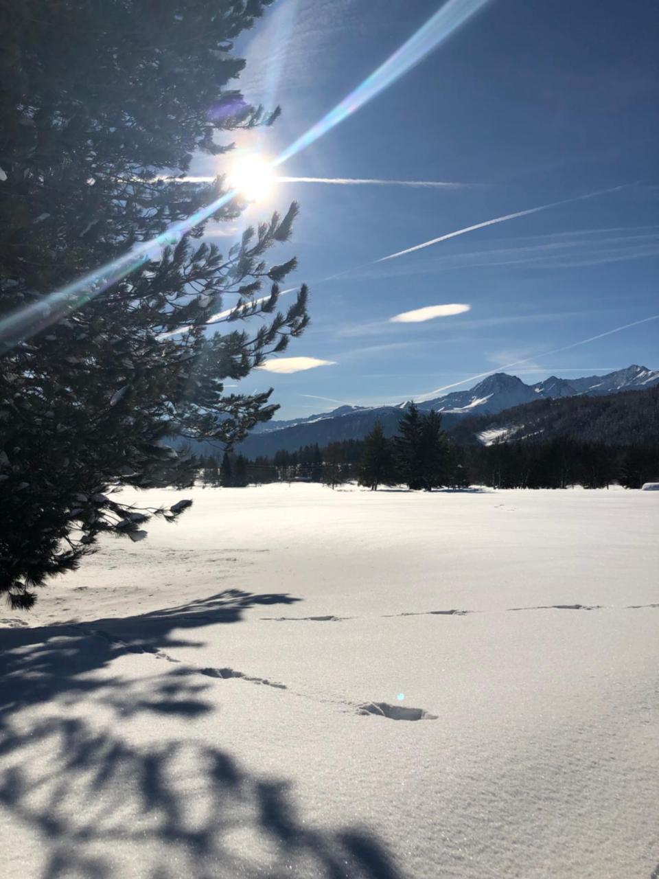 Hotel Menthof Seefeld in Tirol Buitenkant foto